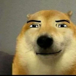 Meet your Posher, Moreno suarez juan david